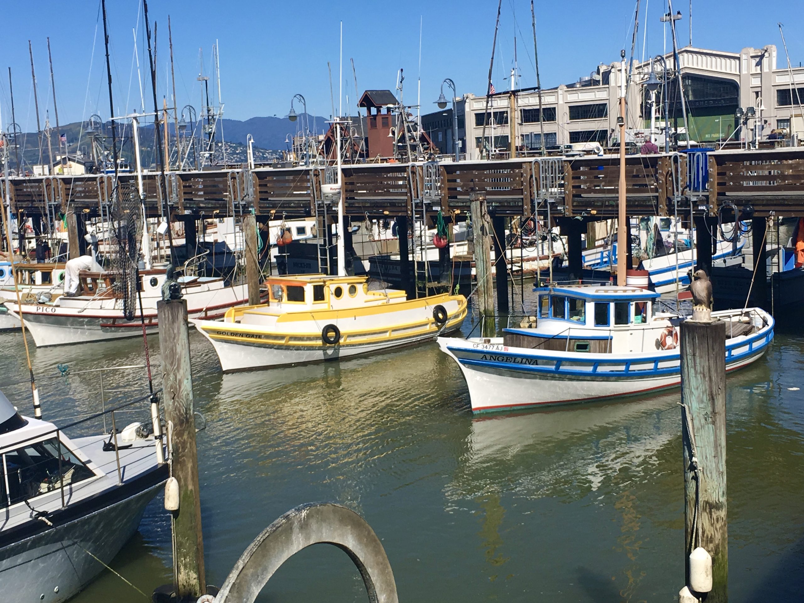 Embarcadero harbor San Francisco